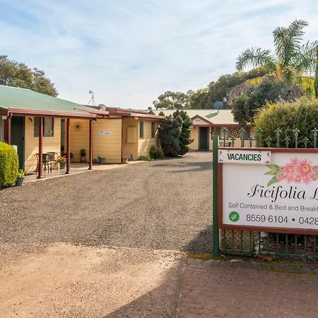 Ficifolia Lodge Parndana Exterior foto