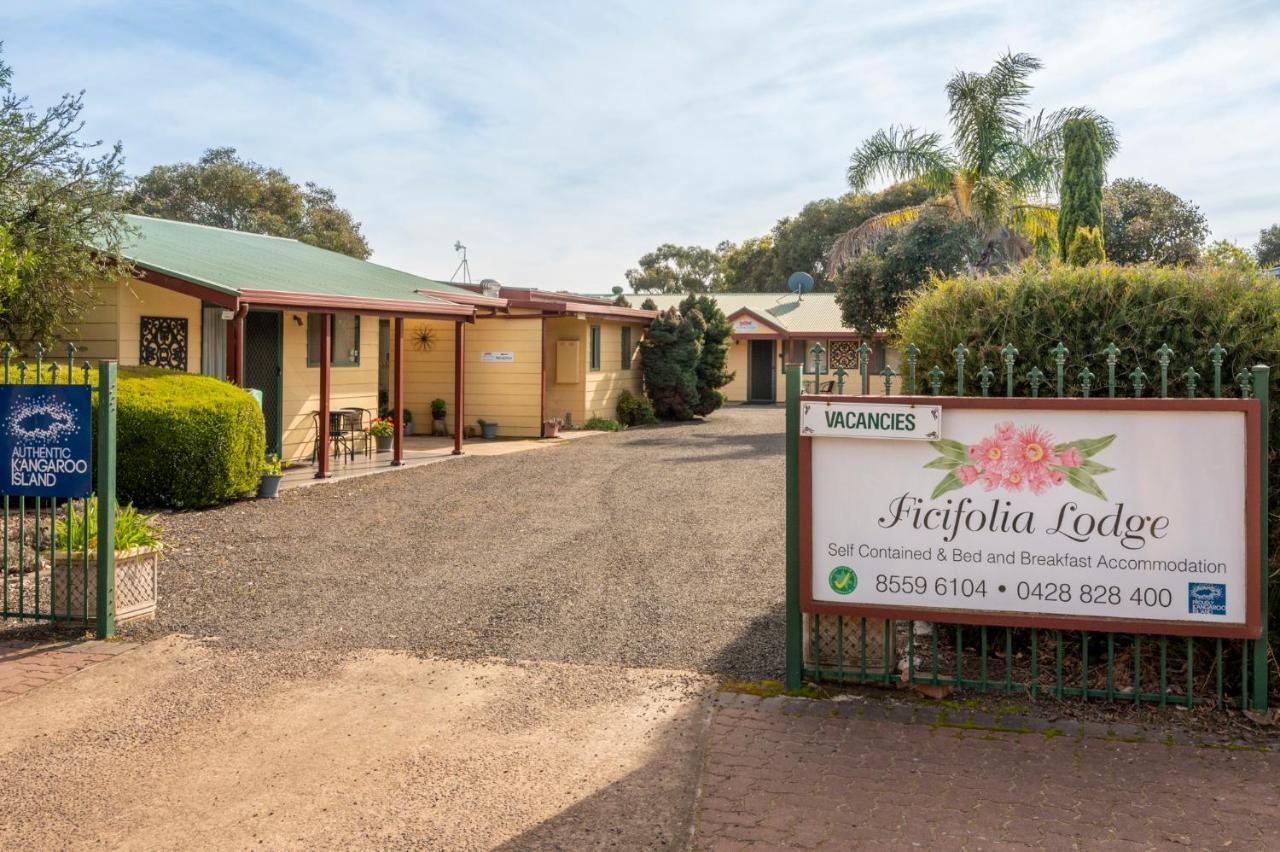 Ficifolia Lodge Parndana Exterior foto