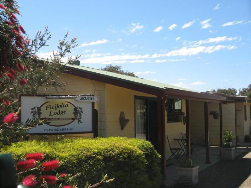 Ficifolia Lodge Parndana Exterior foto