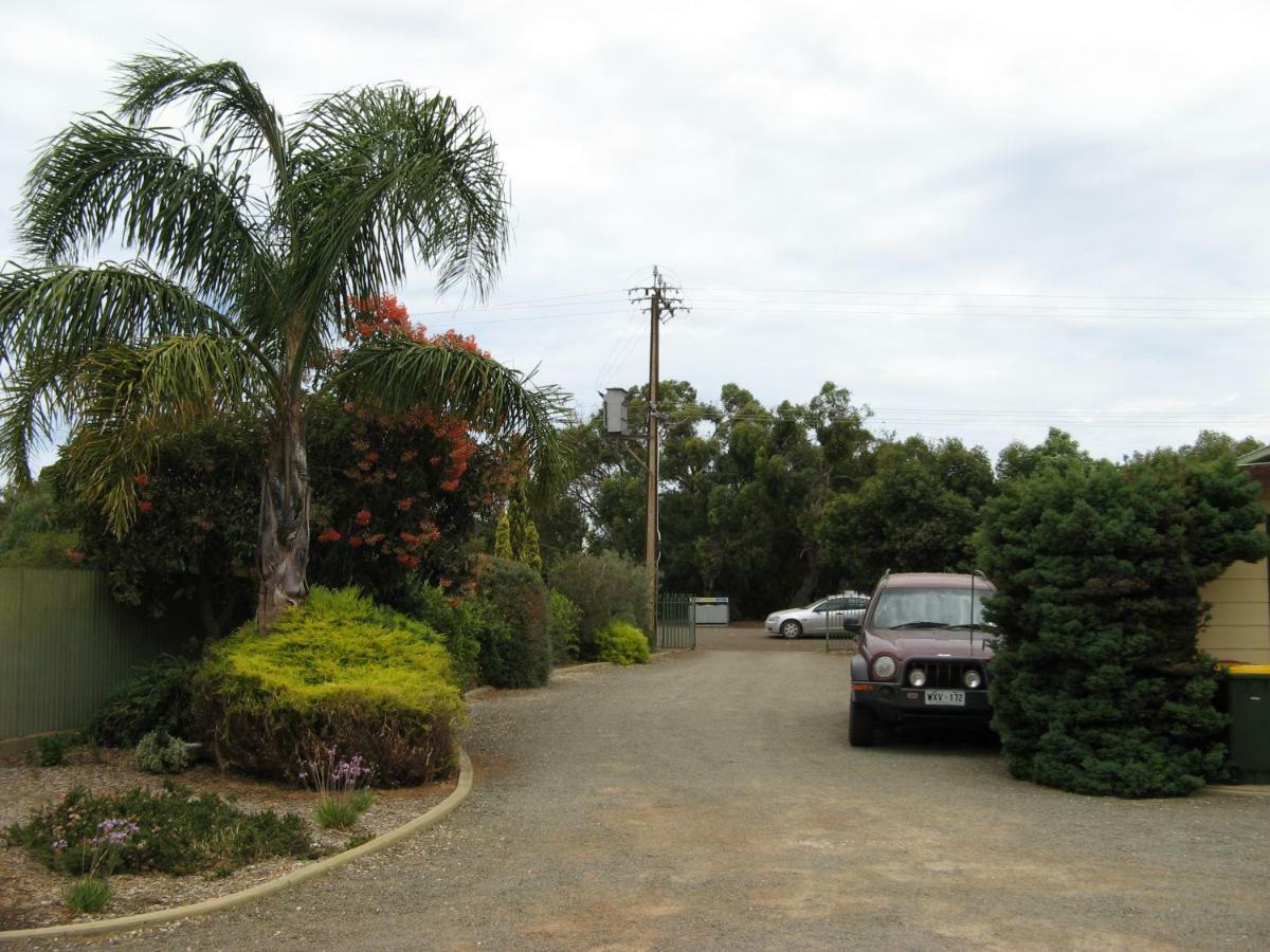 Ficifolia Lodge Parndana Exterior foto